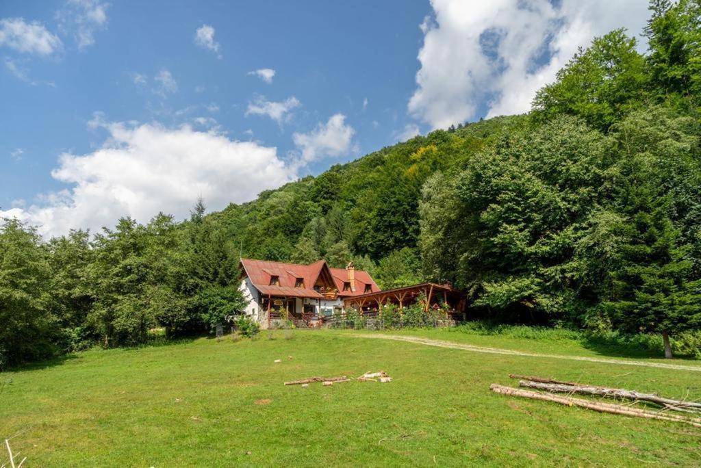 Cabana Rausor Câmpulung Buitenkant foto