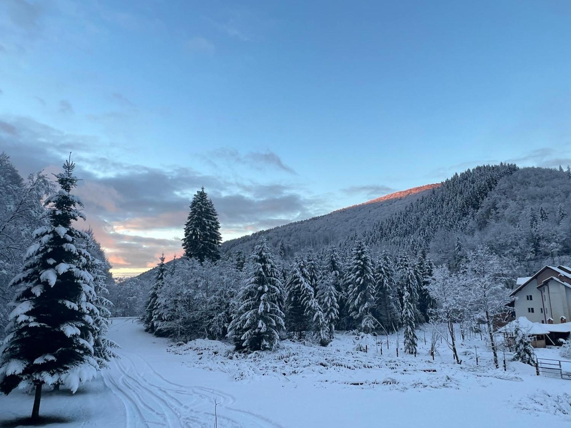 Cabana Rausor Câmpulung Buitenkant foto